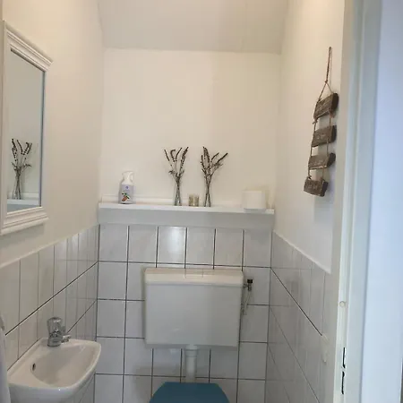 Dom wakacyjny Luxe Aan Het Heel