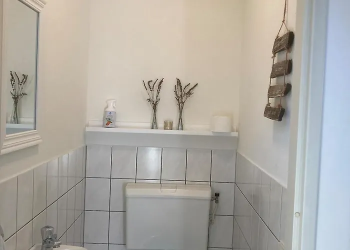 別荘 Luxe Aan Het Heel